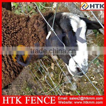 China Suppliers HTK Galvanised Hinge-lock Animal Fence photo-3