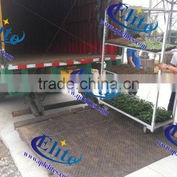 Transport Roller Trolley/ Plant Cart / Flower Cart photo-3