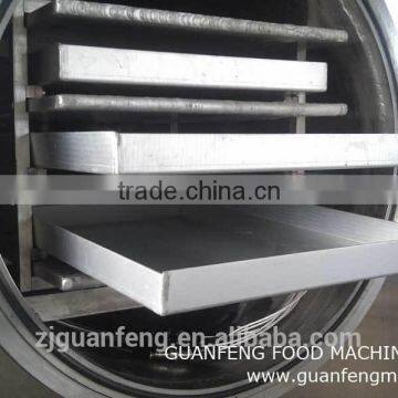 Food Freeze Dryer Machine for Drying Mango photo-4
