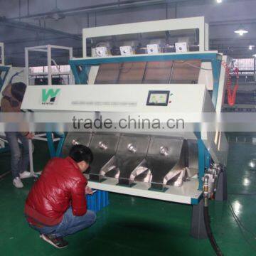 RGB Camera Ccd Color Sorter Machine for Filbert Sorting photo-5