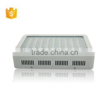 Shenzhen High Power 300 Watt Hydroponic Grow Light photo-2