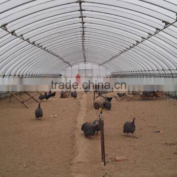 High Quality Commercial/agricultural Used Film Covering Greenhouse for Sale photo-2