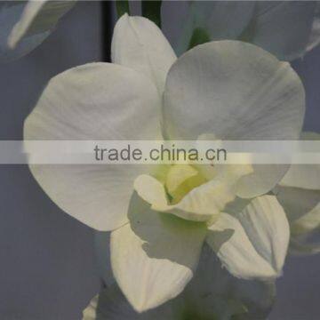 Brand Name Decorative Artificial Flowers Fabric Large Butterfly Orchid photo-2