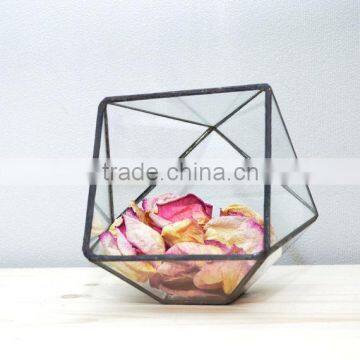 Truncated Zigzag 2 Sizes Geometric Flower Glass Terrarium photo-2