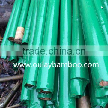 Plastic Coated Natural Garden Bamboo Canes photo-3