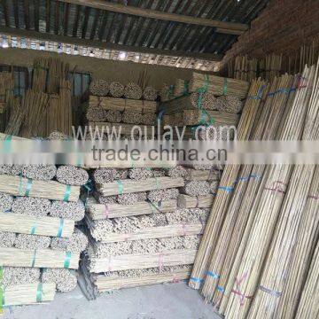 raw bamboo poles wholesale for construction