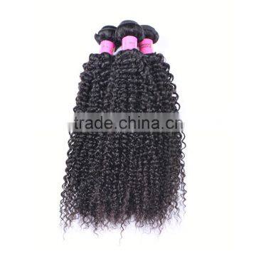 Wholesale Virgin Hair Vendors Fast Shipping Malaysian Curly Hair photo-2