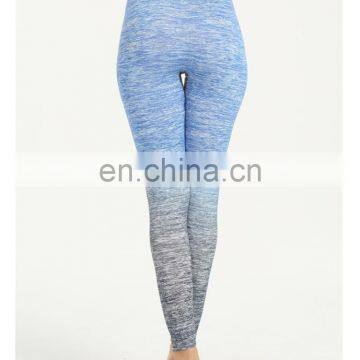 High Waist Seamless Sporting Leggins Women Fitness Runs bulk Sweat Gymnatics Jogger Jeggings