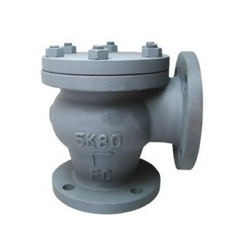 JIS Marine Valve Cast Iron Lift Check Angle Valve F7359 5K