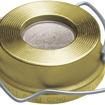 Water Brass Spring Loaded Check Valve771 PN16 For EN1092