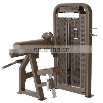 China Wholesale Camber Biceps Curl Machine For Dhz Fitness Brand