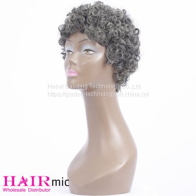 Gray Short Curly Full Lace Human Hair Wig Vendor