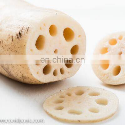 Vietnam Canned Pickled Lotus Root/Vietnam Canned Pickled Lotus Root From Vietnam photo-3