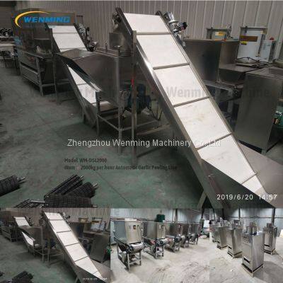 1000kg Automatic Garlic Peeling Production Line Garlic Peeling Machine Industrial Garlic Peeling Processing Line photo-4