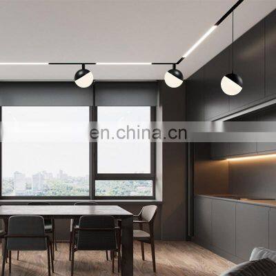 HUAYI Cheap Price 10w Living Room Magnetic Pendant Globe Lamp 48v Modern Hanging LED Track Light