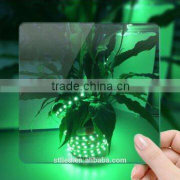 Express ce RohsDC12V/24v RGBW Color Tape LED Strip Light photo-2