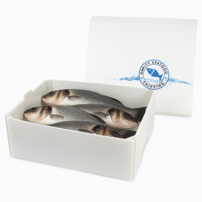 Polypropylene Corrugated Plastic Coroplast Fish Seafood Shipping Box photo-2