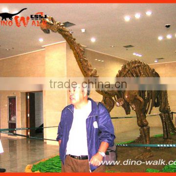 2016 Vivid Life Size Replica Dinosaur Fossils for Sale