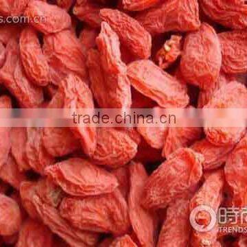 ORGANIC GOJI BERRIES ORGANIC DRIED GOJI BERRY,HOT SELL2015
