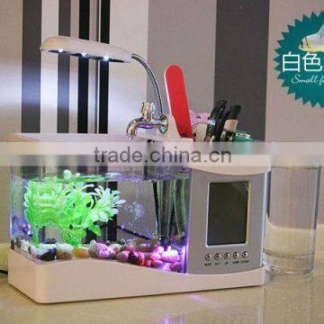 Mini table aquarium with rainbow and running water