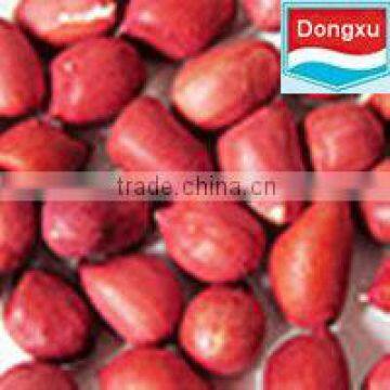 red skin peanut kernel 50/60