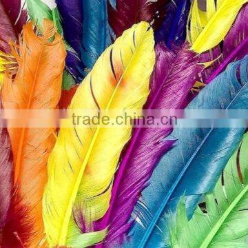 free sample various vinyl sticker decal wall art with factory price