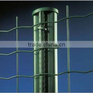 Manufacture supply holland wire mesh/chicken fence/fence mesh