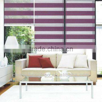 2013 Elegant & Luxury Manual Zebra Blind photo-4