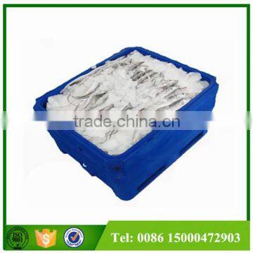 1000L Platic PE Frozen Fish Container, Plastic Container for Frozen Fish, Live Fish photo-4