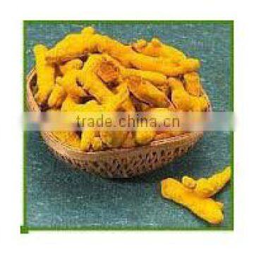 UK Quality Turmeric Finger