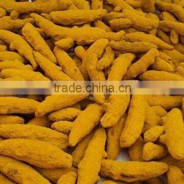 Single Polished Turmeric Fingers