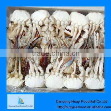 Frozen half cut crab frozen crab price