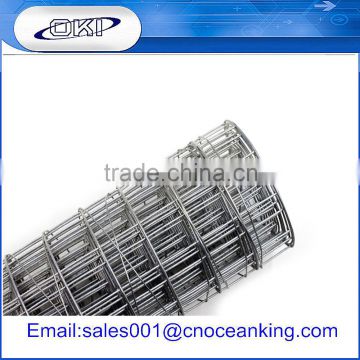 alibaba hot sale galvanized welded wire mesh / hardware cloth