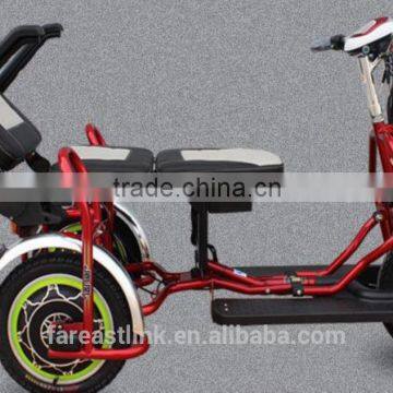 Electric Tricycle can fold TCP