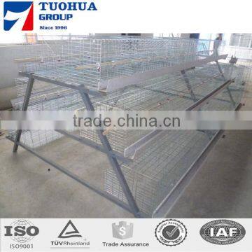 96 birds poultry farm layer cage