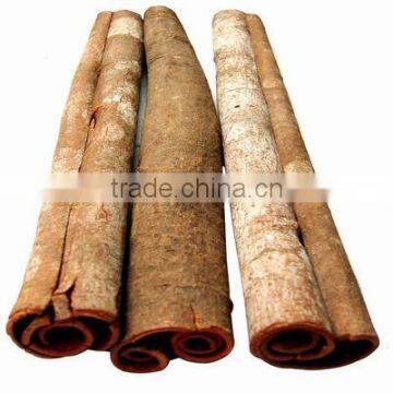 Whole Seller of Cinnamon All Kinds in Vietnam photo-4