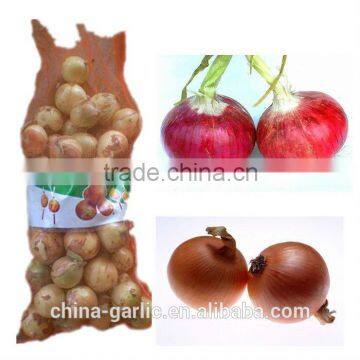 2014 New Season!!! Fresh wholesale onion (Red Onion, Yellow Onion)