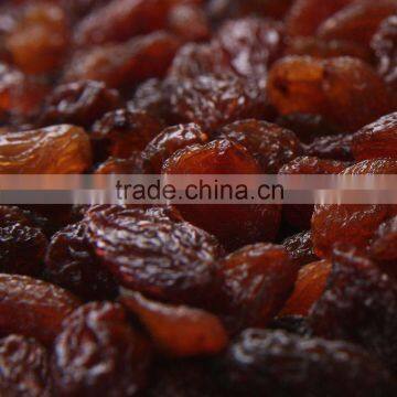 Jumbo sultana big dried red raisins sultana