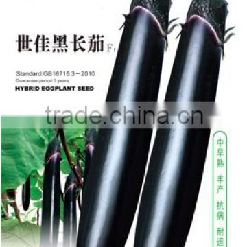 High Yield Hybrid Black Long Eggplant Seeds chinese vegetable seeds foe planting-Black Overlord