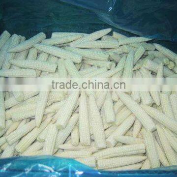 Buy IQF Baby Corn Cobs Season Vegetables