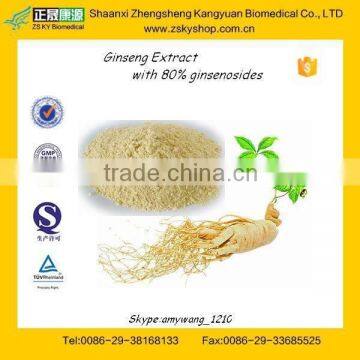 GMP Manufacturer supply Top Quality Ginseng Root Extract 80% Ginsenosides