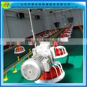 Automatic Feeding and Nipple Drinking System for Poultry Chicken photo-2