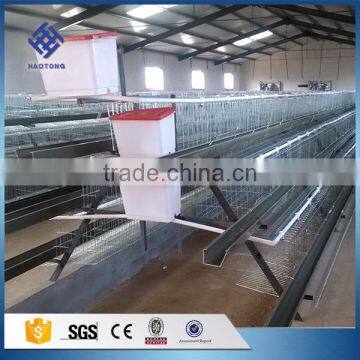 30 Years' Factory Supply Automatic Chicken Cage With Poultry Equipmen photo-5