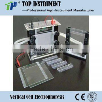 Vertical Cell Electrophoresis