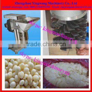 Vegetable Garlic/ Ginger/ Pepper/ Onion Mash Making Machine photo-2