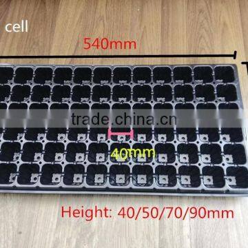 72 Cell Plug Tray, 540*280mm, 70mm Depth photo-2