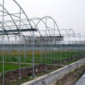 Economical Single Span Arch Pipes Film Greenhouse