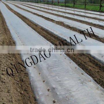 Agriculture Mulch Films ,perforated Clear Mulch Film (with 2 or 4 Holes) photo-6