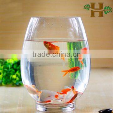 Wholesale handblown glass terrarium for home decor, plant glass terraium, fish bowl