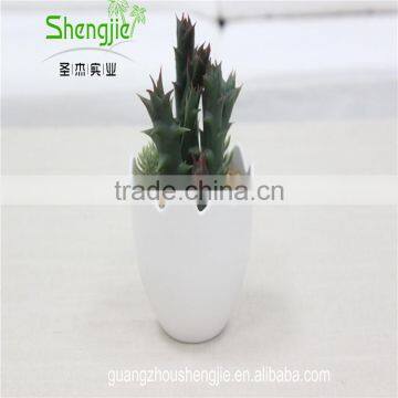 SJLJ013384 Artificial Plant / Fake Plastic Succulent Plant for Office / Restaurant Decoration photo-2